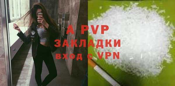 амф Алексин
