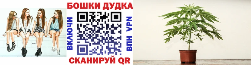 МАРИХУАНА план Покров