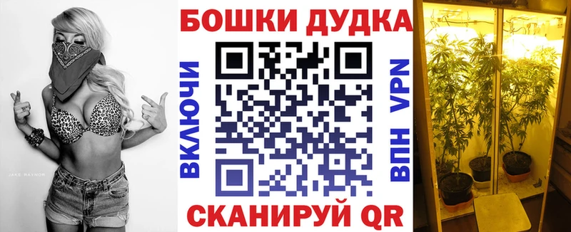 Шишки марихуана LSD WEED  продажа наркотиков  Покров 